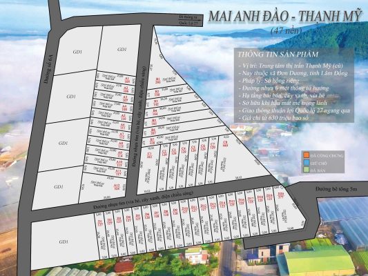 đất trung tâm gần đà lạt chi từ 630tr view đồi đường nhựa