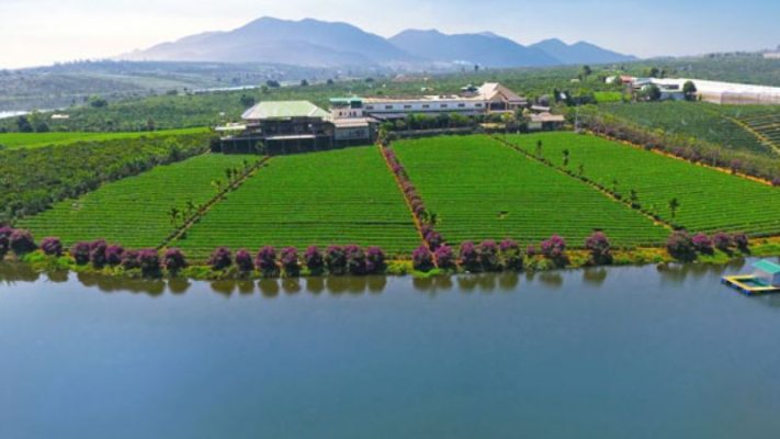 đất làm farmstay Lâm Hà 02