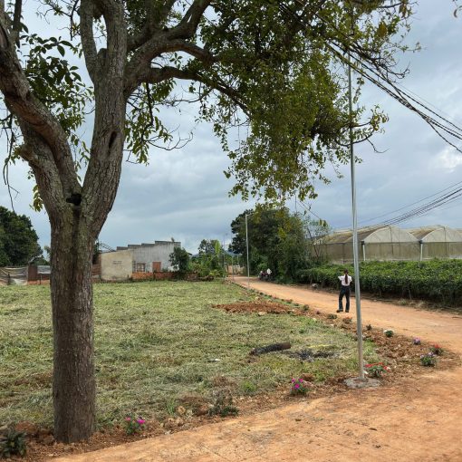 Đất Nền Lâm Đồng – Xu Hướng Đầu Tư Ngay Trung Tâm Chỉ Từ 730tr