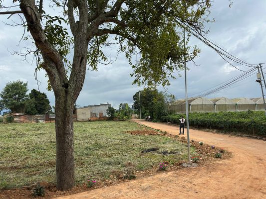 Đất Nền Lâm Đồng – Xu Hướng Đầu Tư Ngay Trung Tâm Chỉ Từ 730tr