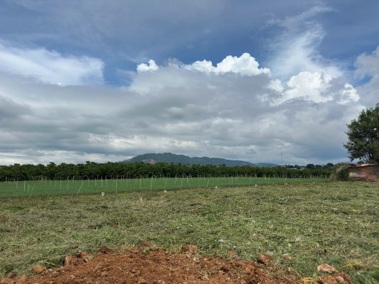 Đất Nền Lâm Đồng – Xu Hướng Đầu Tư Ngay Trung Tâm Chỉ Từ 730tr