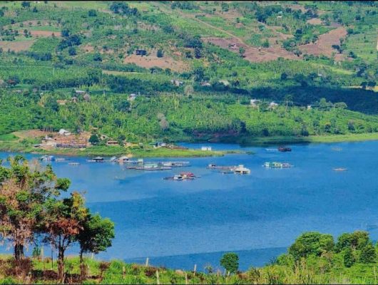 farmstay lâm đồng