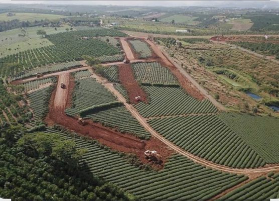 rủi ro khi mua đất