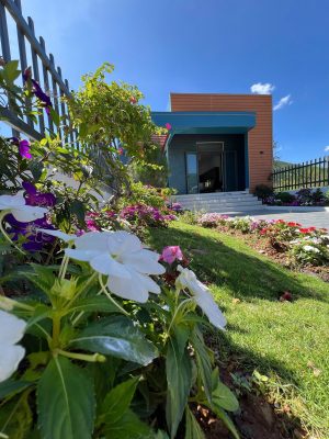 villa view đồi lâm hà 