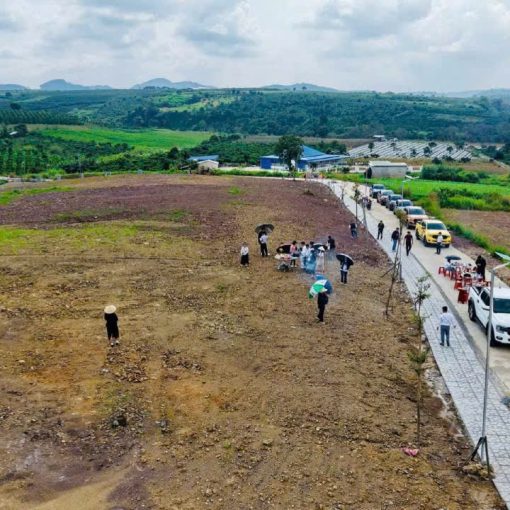 Tân Hà Center View