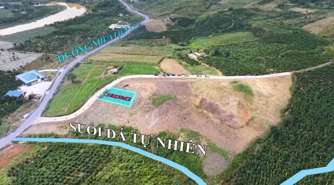 dat-nghi-duong-1000m-ven-da-lat (2)